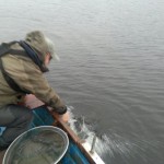 And back the Waterford Trout goes safely