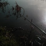Barrow Piker – river