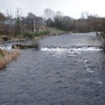 Drowes – Mill Pool