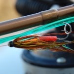 The Willie Gunn Tube That Took The Fish.