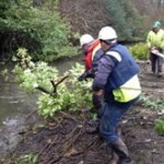 REMOVING CUTTINGS