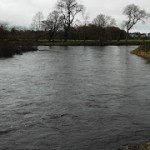 Looking upstream to the top of the island