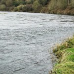 Upper Kilmurray – Munster Blackwater