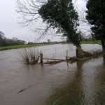 Slaney River – Flood