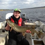 14lb Pike