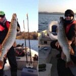 27lb Pike