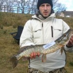 samlfish