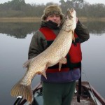 33lb 7oz