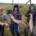 3pike