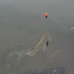March Pike from the Barrow