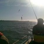 Cork Harbour Angling Club – Light Lines Comp 2013