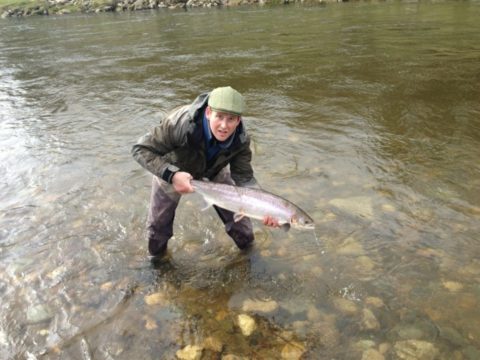David Dobbs about to release his springer