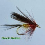 Lough Sheelin – Cock robin