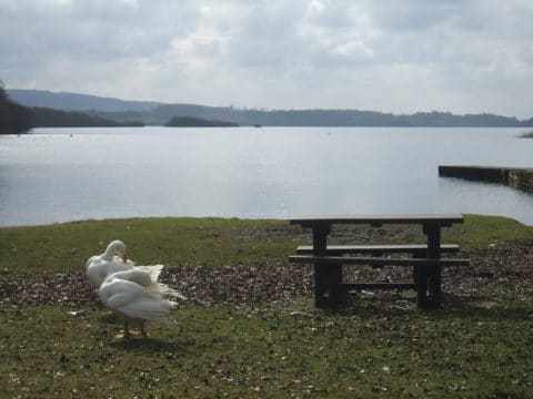 Sheelin awaits its anglers - February 28th 2013