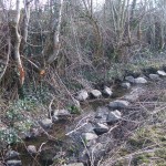 The Carrick River after Stage 1 rehabilitation work