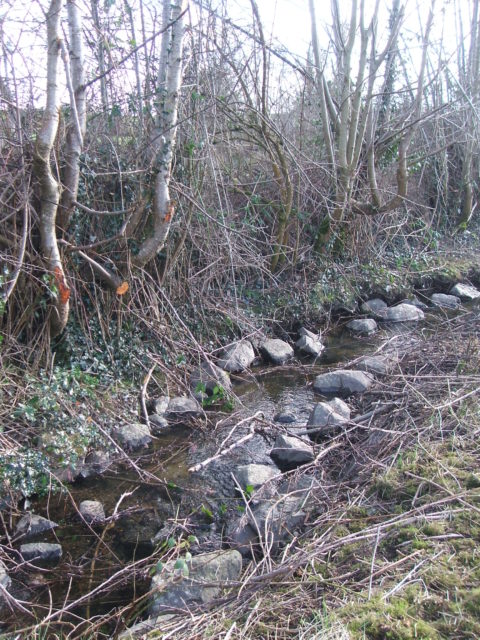 The Carrick River after Stage 1 rehabilitation work