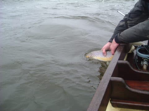 Andrew’s 4 ½ pounder is carefully released