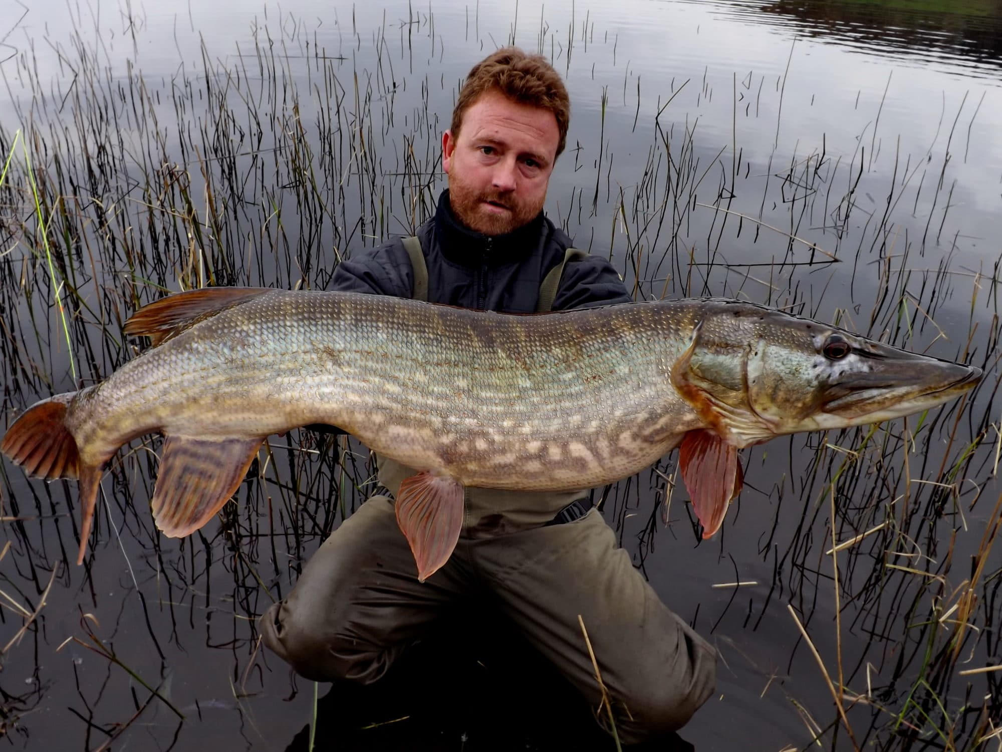 25lb 4oz of fly caught pike for Sidney Kennedy