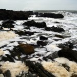 Probassfishing – Sea coast