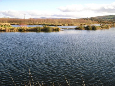Rathcon Lake 