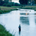 Slaney