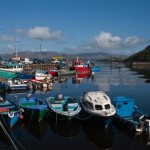 The Southern Star – Bantry Harbour