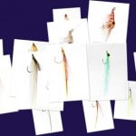 album[1]