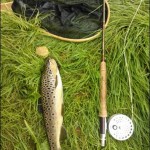 Another nice fish from the Rye Water despite the unseasonably cold weather