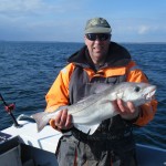 specimen haddock
