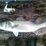 Cork Angling Hub – April 17th 2013