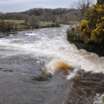 The River Smearlagh in  a rising flood on Sunday