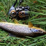 East Coast – Trout April 2013
