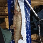 Esox Lodge April Pike