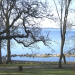 Lough Sheelin – Early morning at Crover, Lough Sheelin April 15th