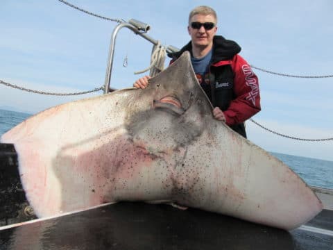 151lb Skate on board the Predator II 151lb Skate on board the Predator II