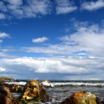 Probassfishing – Ocean