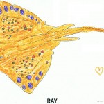 RAY