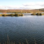Rathcon Lake Fishery