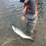 Mossy Browne with his fine salmon in the net