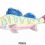 perch