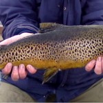 peter holding the trout