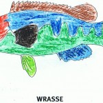 wrasse