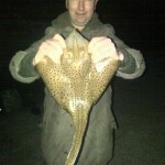 Blonde ray from Donegal Bay