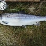Daniel Irvine, 12lbs EMA on fly