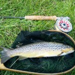 ECTROUT