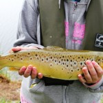 HELFISH