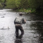 Action shot of Brian Larkin from Kildare playing a Liffey beauty!