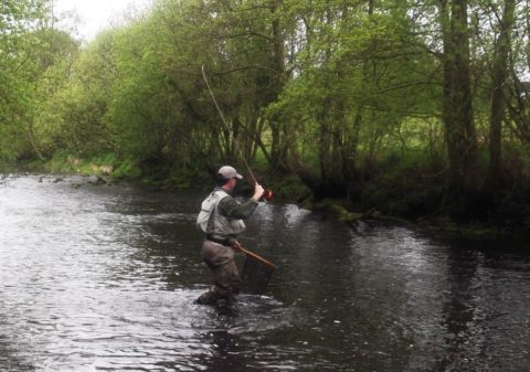 Action shot of Brian Larkin from Kildare playing a Liffey beauty!