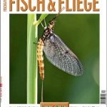 Probassfisher – Fisch and Fliege