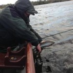 Sheelin – A 3lb trout is released as part of the lake’s ‘catch & release’ policy